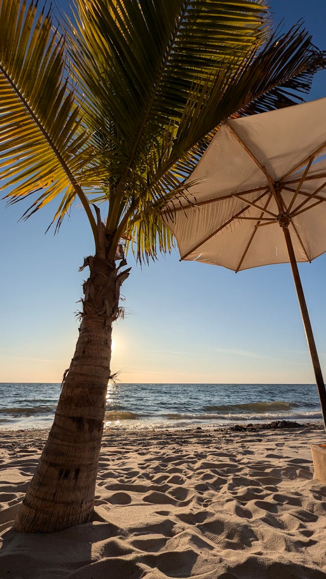 Nuevo Vallarta